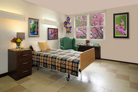 Skilled Nursing Facilities
